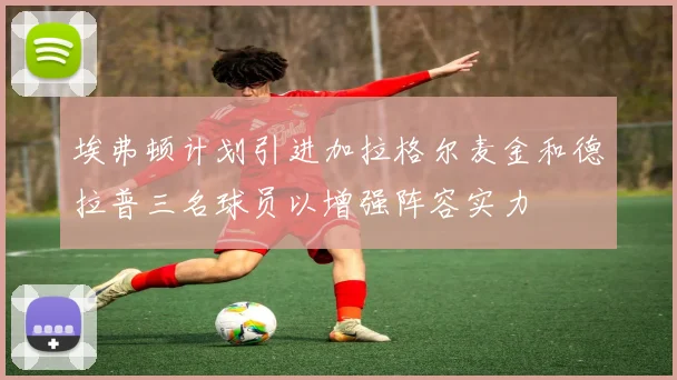 埃弗顿计划引进加拉格尔麦金和德拉普三名球员以增强阵容实力
