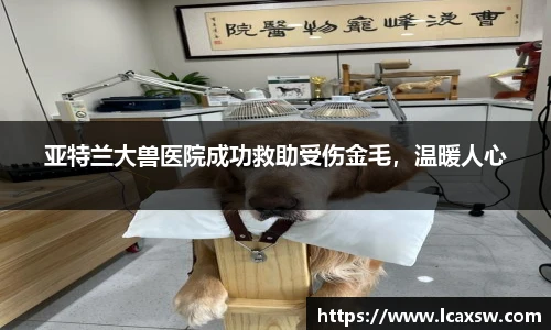 欧博abg官网